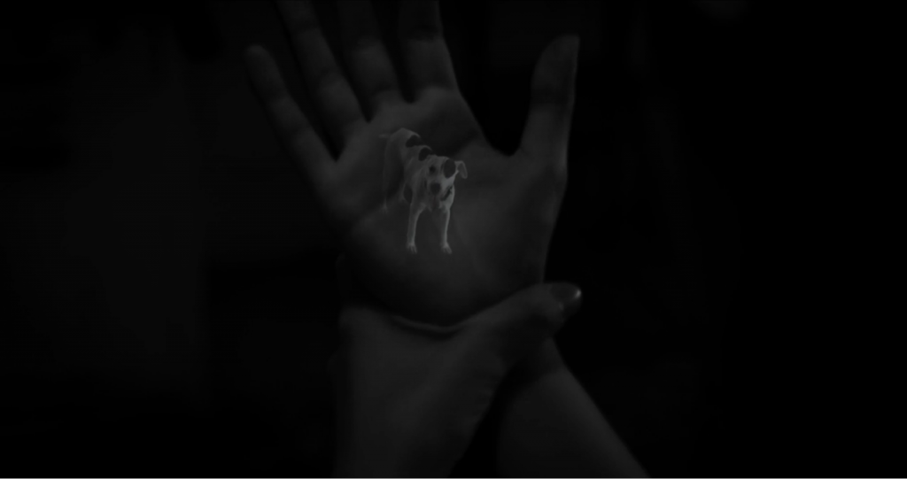 Rice-Media-sgiff-2020-fluidity-identity-gender-southeast-asian-short-films-5
