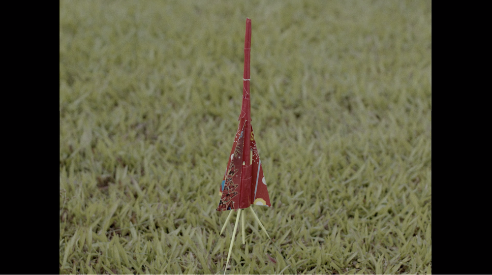Rice-Media-To-Calm-Pig-Inside-Rocketship-2
