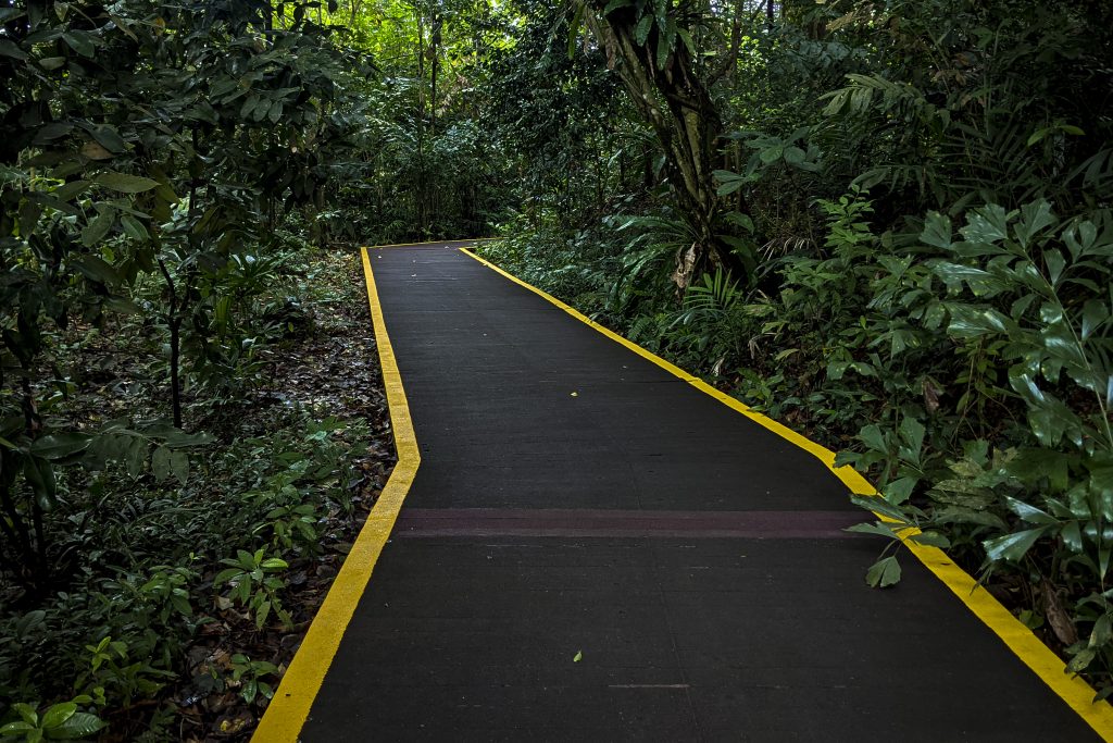 Rice_Media_Kranji_008