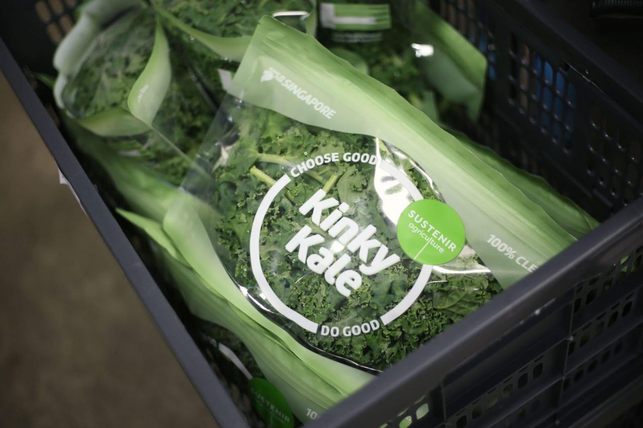 15 Bags of fresh kale ready for distribution