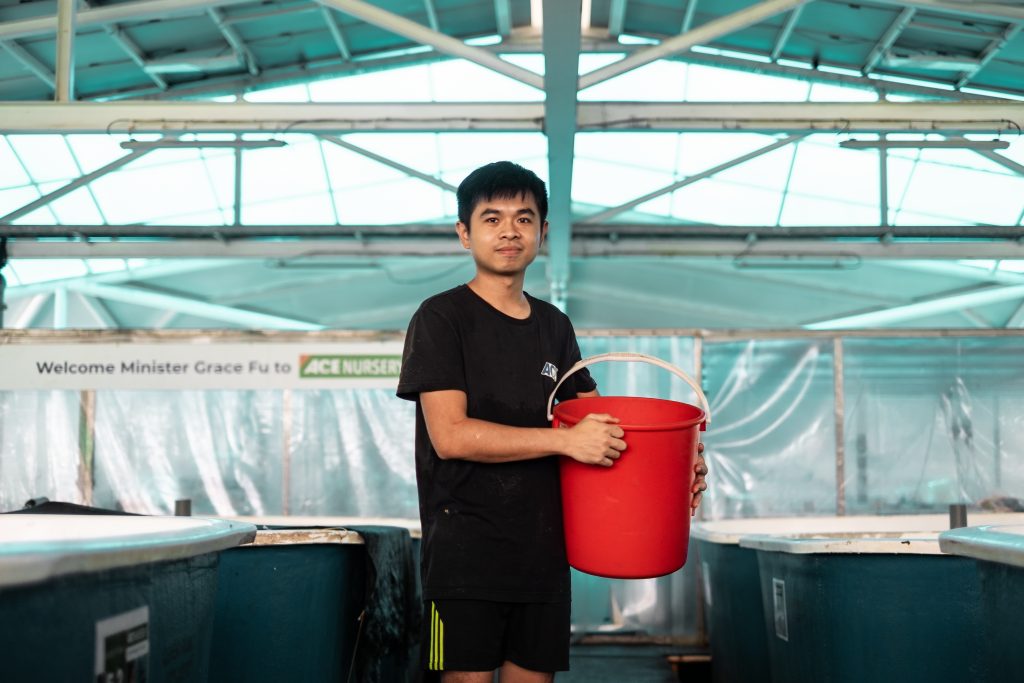 Fish farm-11