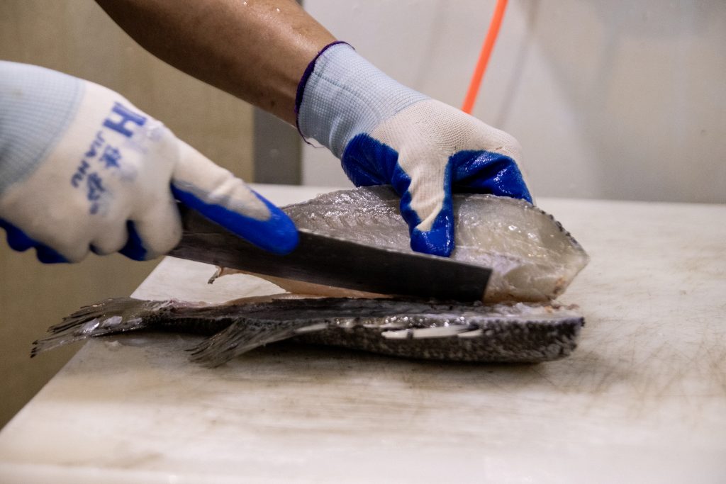 Fish farm-24