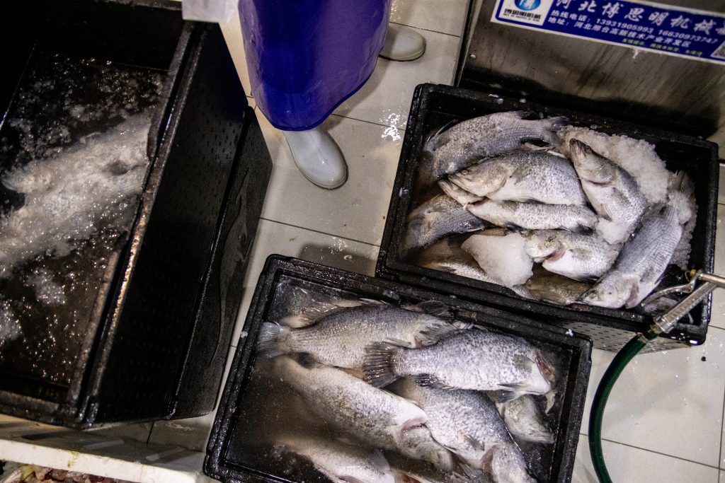Fish farm-30