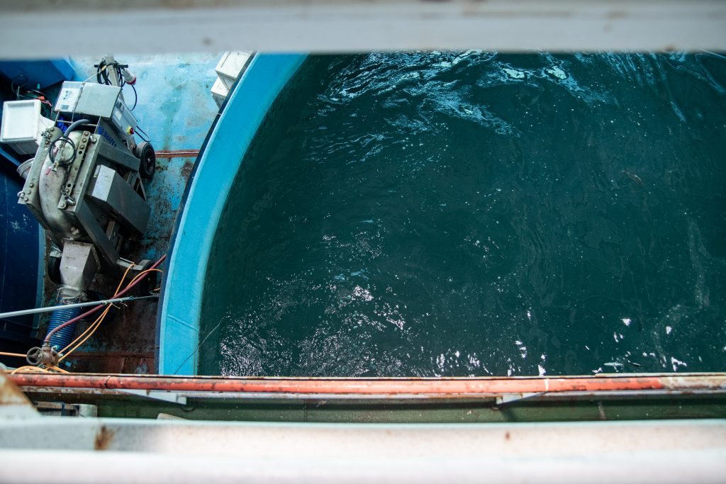 Fish farm-45