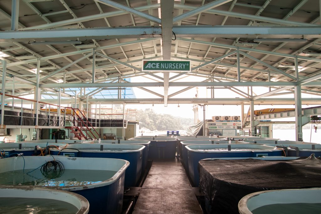 Fish farm-50