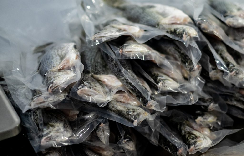 Fish farm-54