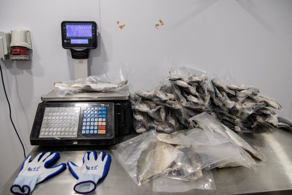 Fish farm-63