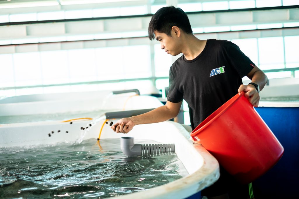 Fish farm-8