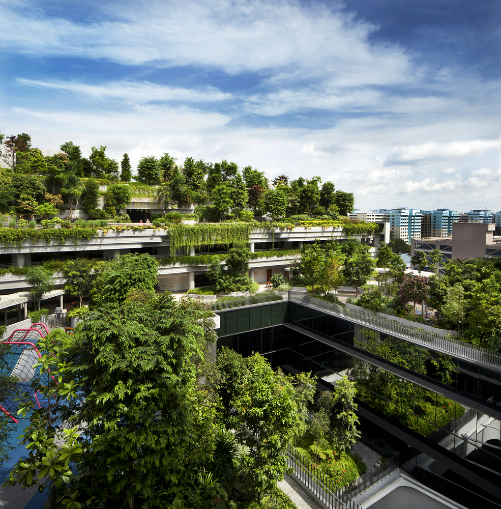 KAMPUNG_ADMIRALTY_PBH_077