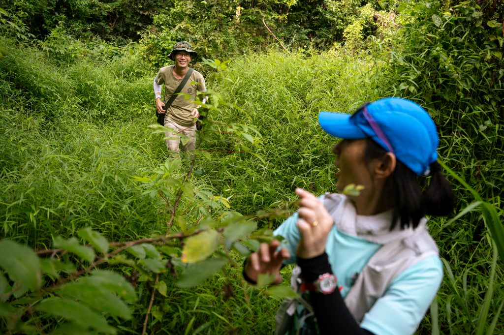 Rice_Media_Dover_Forest_006