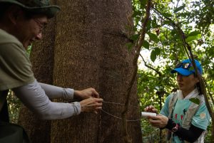 The Plight of Dover Forest, And One Secondary School Teacher’s Fight to Save It