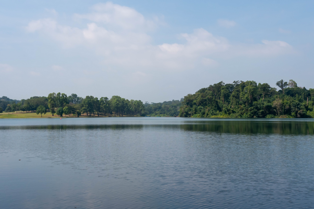 Rice Media_Singapore_Lower Peirce Golf Course_14