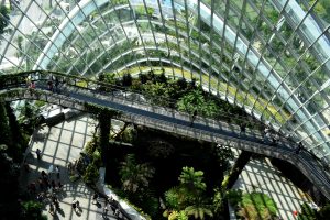 The Changing Frontier of Sustainability: Good for People and Good for the Environment