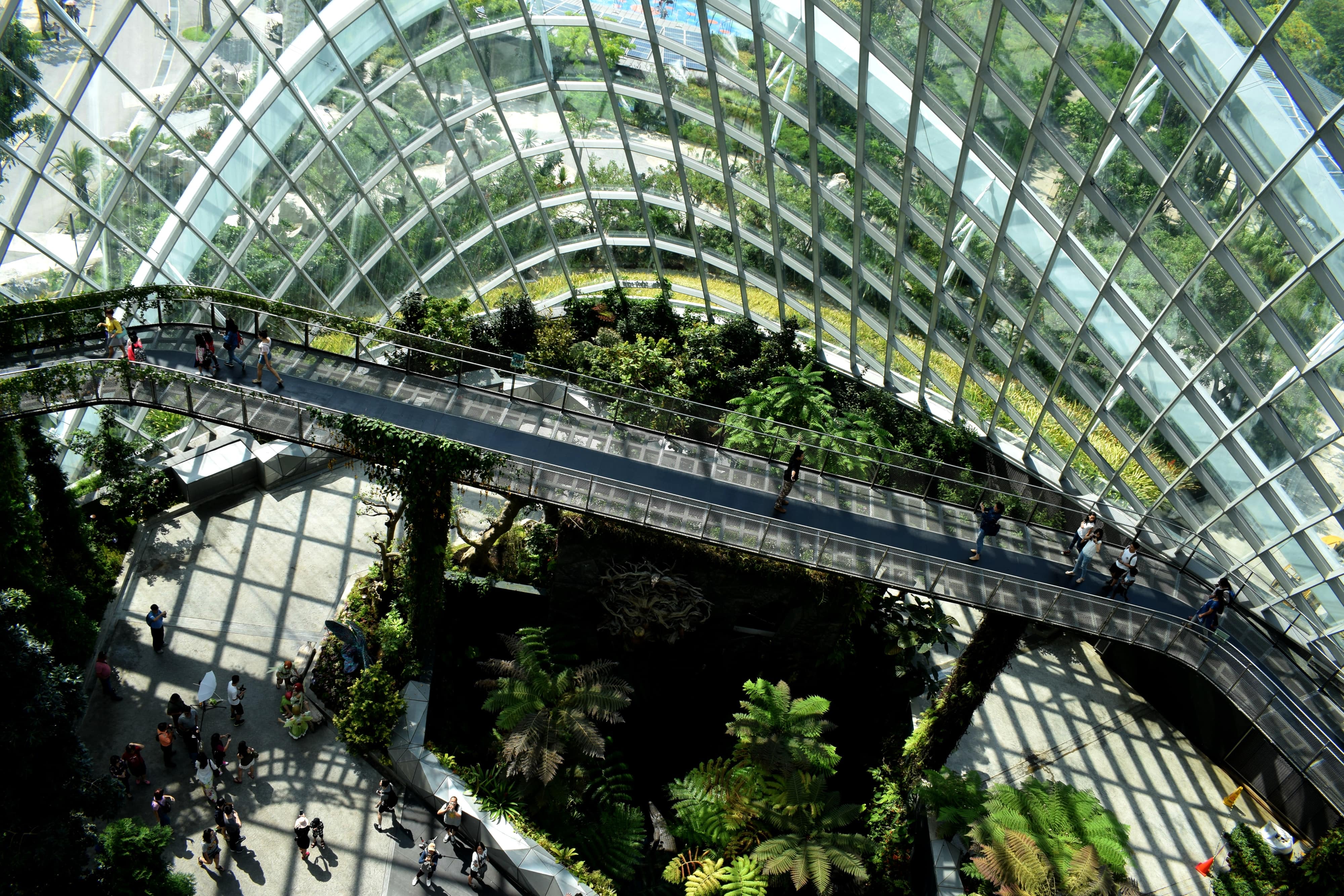 The Changing Frontier of Sustainability: Good for People and Good for the Environment