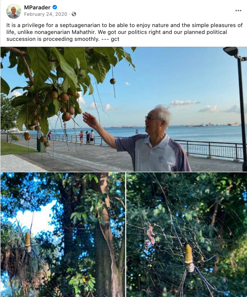 goh chok tong pix